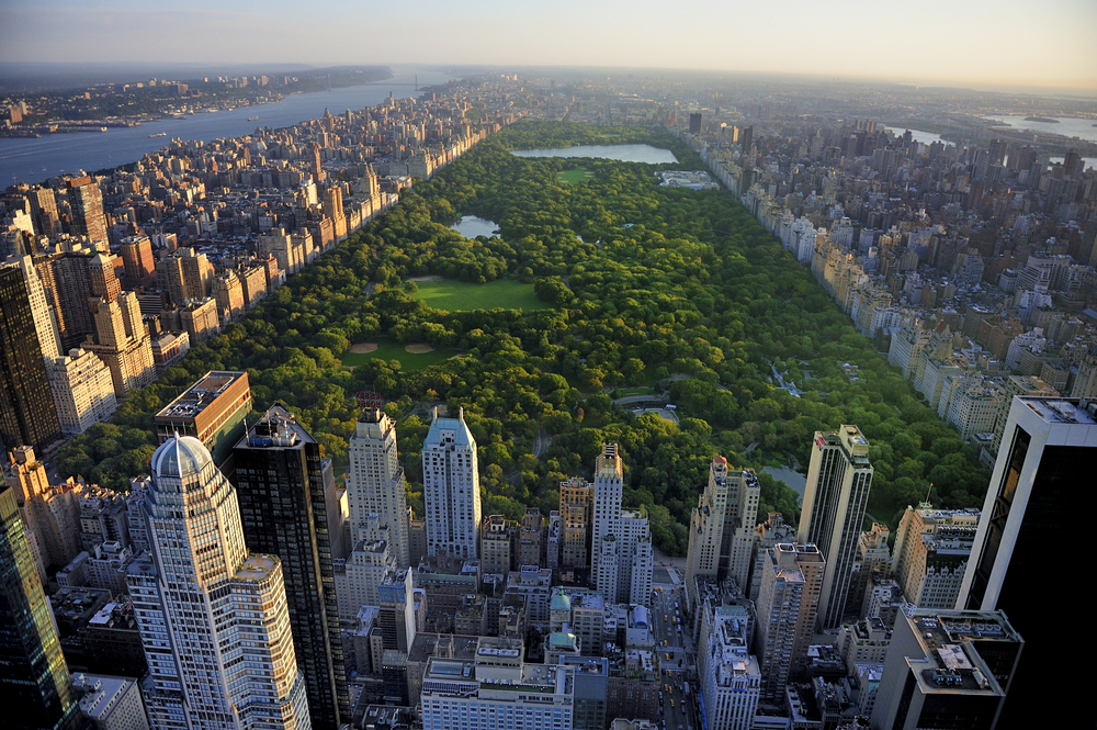 new york city in the summer