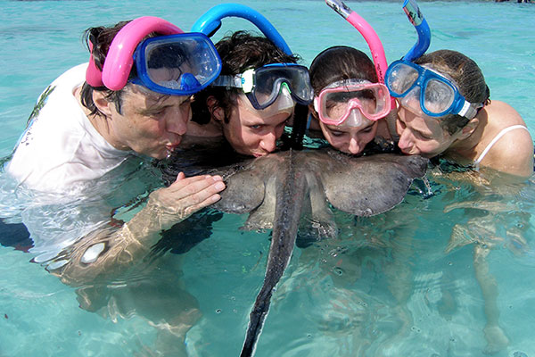 interacting with stingrays in antigua