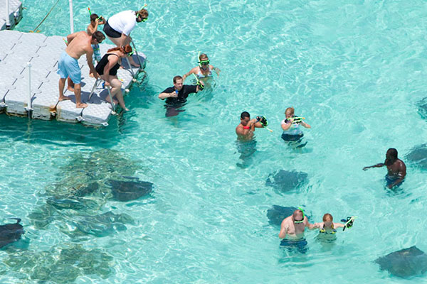 snorkelling with stingrays