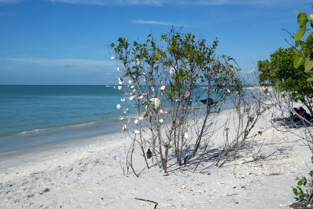 Cayo Costa State Park