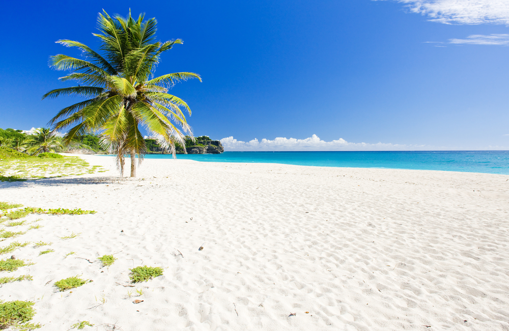 beach in barbados