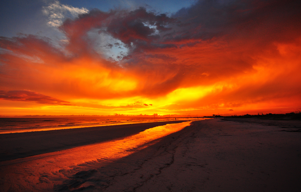 Honeymoon Island State Park