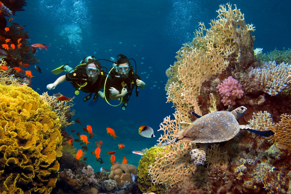 scuba diving in the caribbean