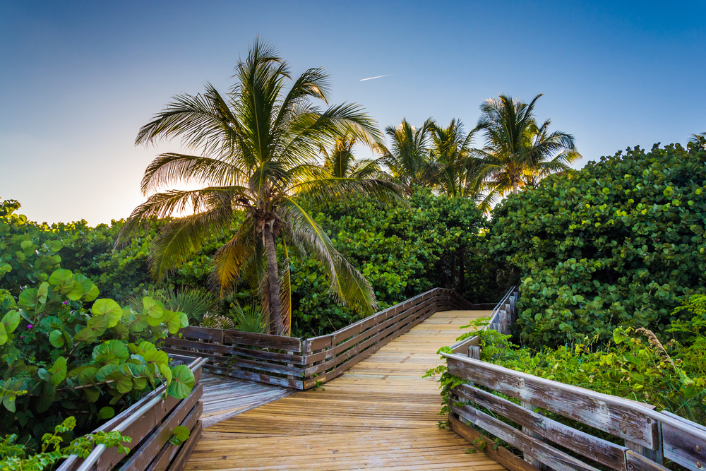 footpath trail in florida