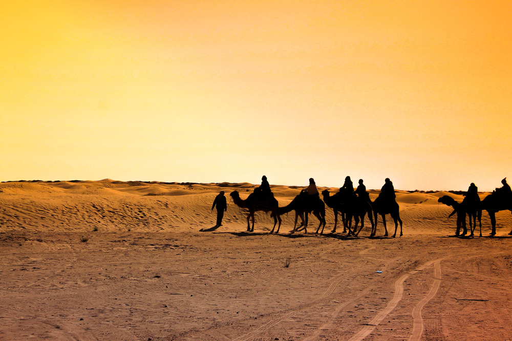 dubai desert