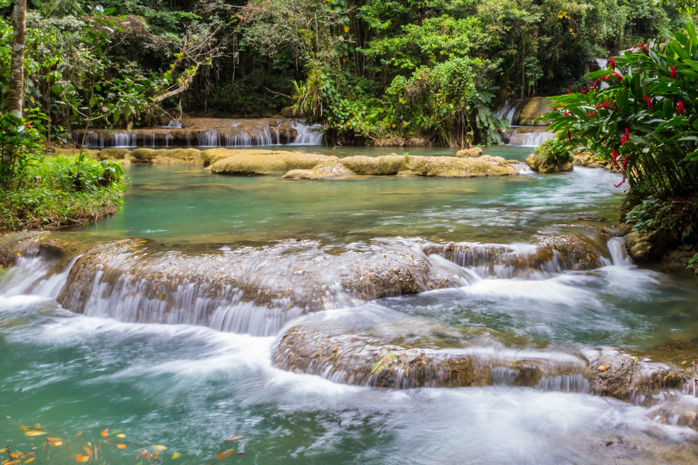 jungle river in Jamaica