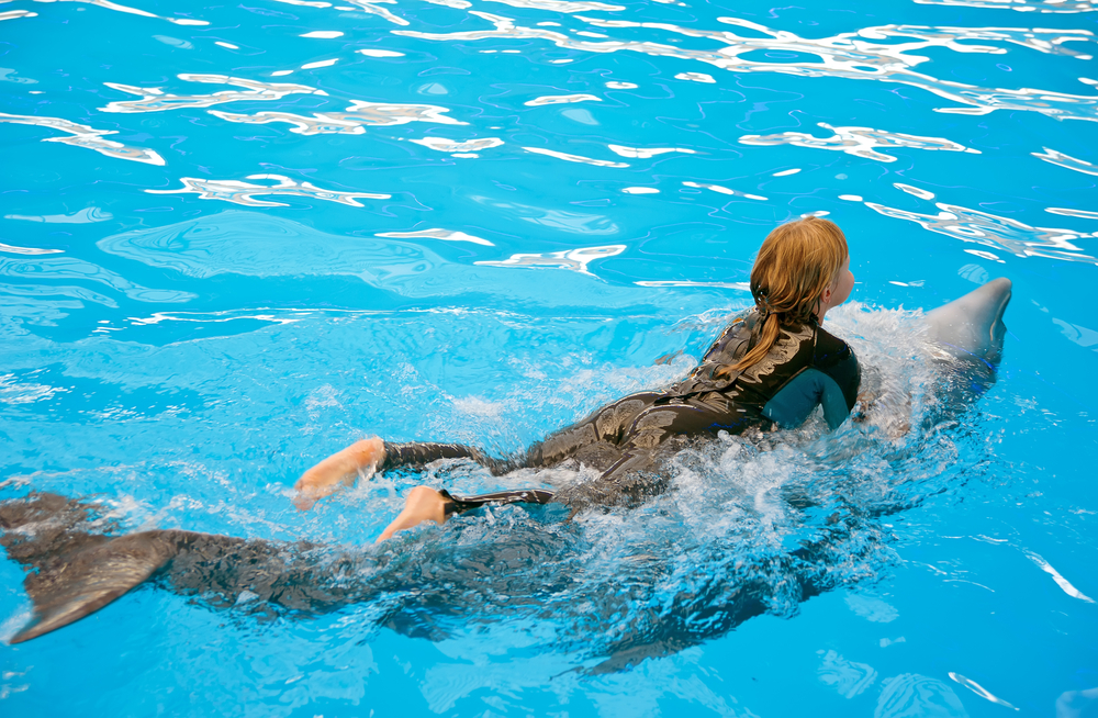 swimming-dolphins-dubai