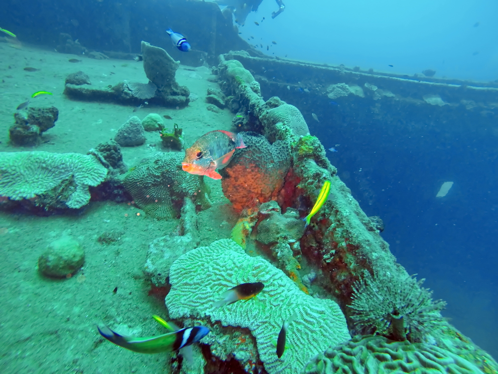 scuba diving st lucia