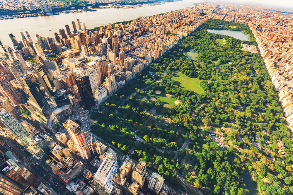 central park in new york