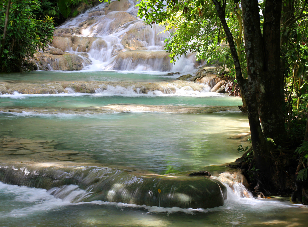 Jungle River Tubing in jamaica