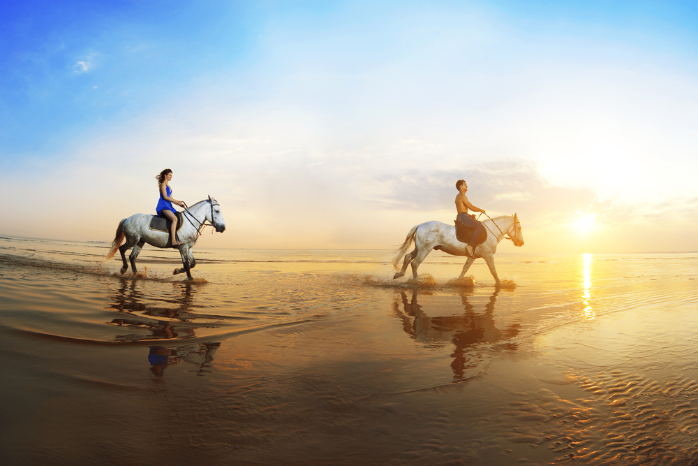 Horseback Ride in jamaica