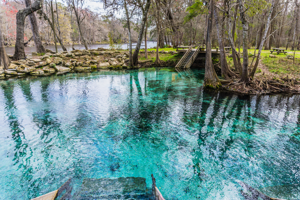 Madison Blue Spring State Park in Florida