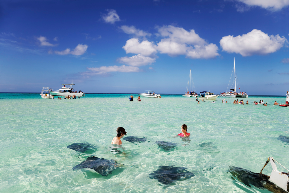 Stingray City in antigua