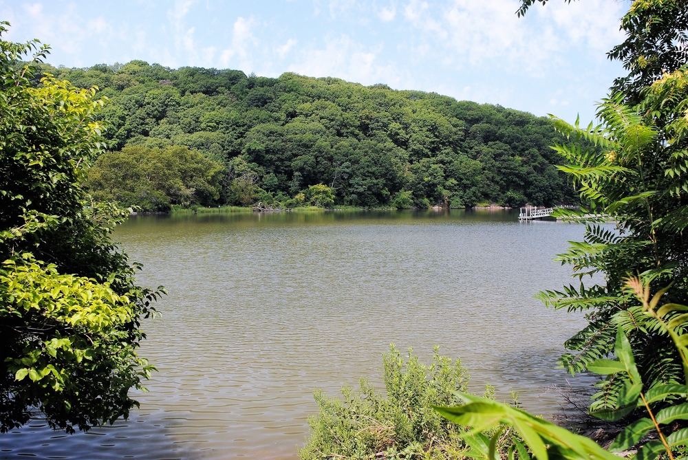 Inwood Hill Park