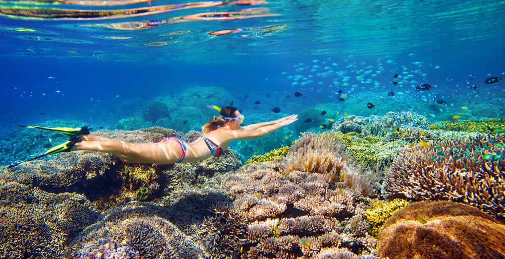 snorkelling in the caribbean