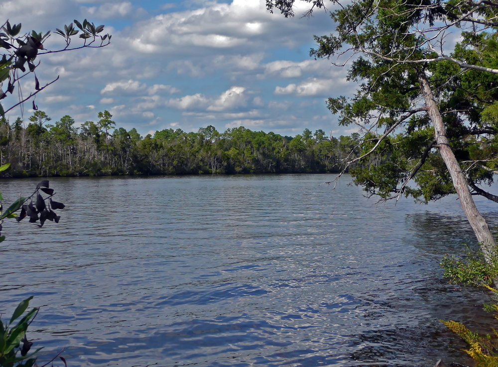 black water river in florida