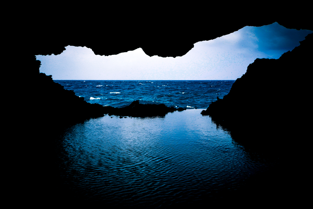 Animal Flower Cave barbados