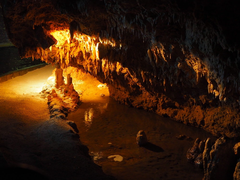 Coles Cave barbados