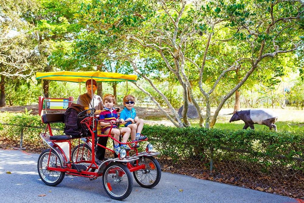 miami zoo with kids