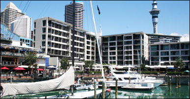 Auckland Holidays