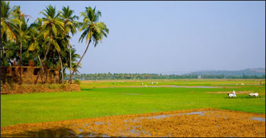 Goa Holidays
