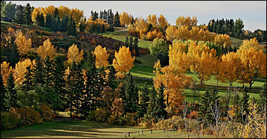 Calgary Holidays