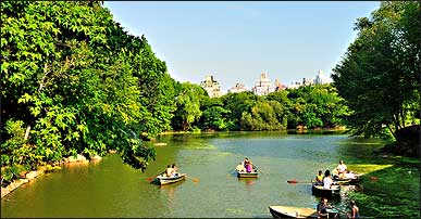 New york Holidays