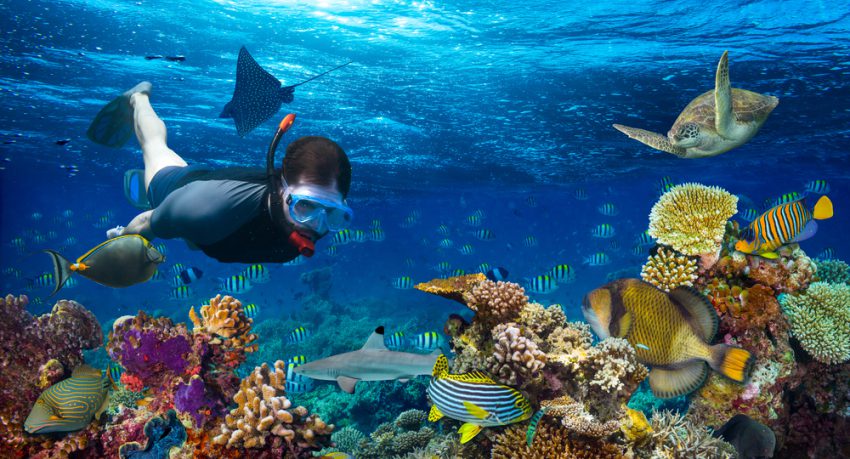 man snorkelling in dubai