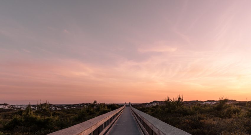 camp helen state park florida