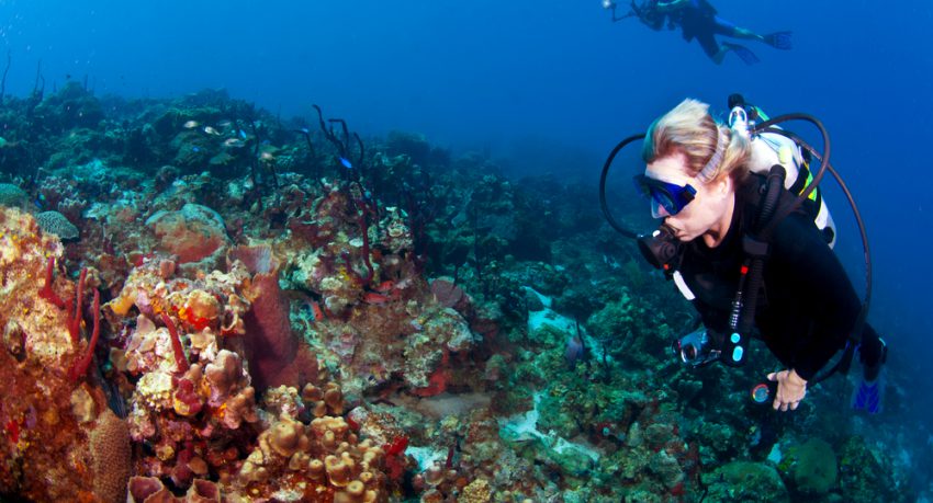 diver and photographer scuba diving in st lucia