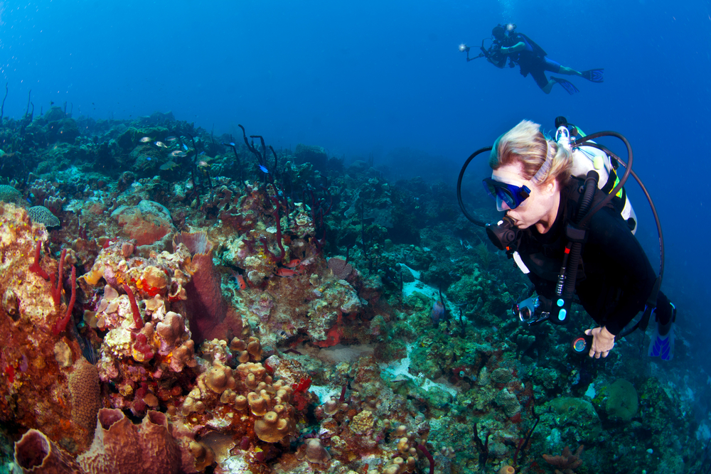 diving tour st lucia