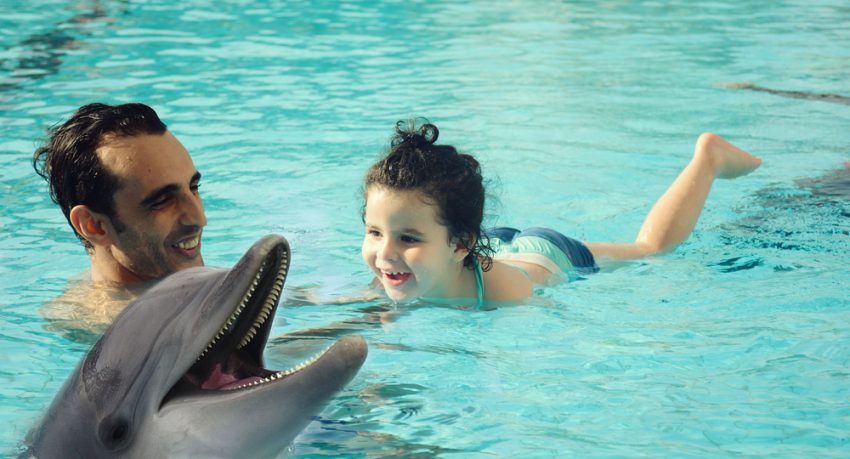 father and daughter swimming with dolphins in dubai