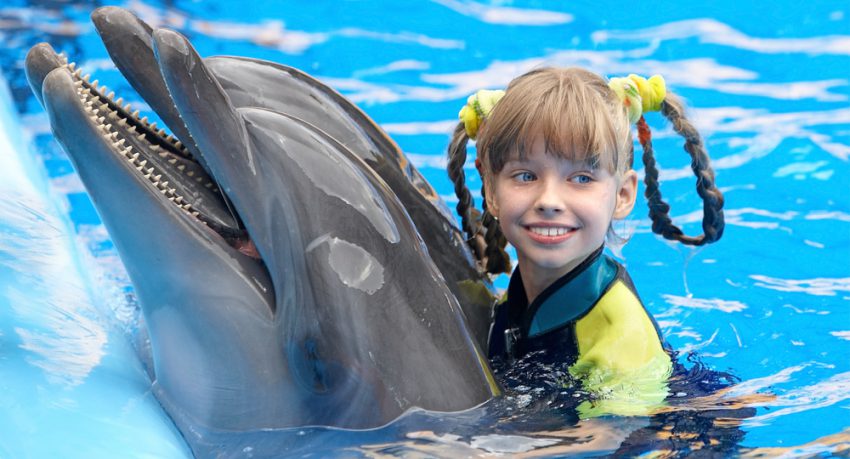 young child swimming with dolphin in orlando