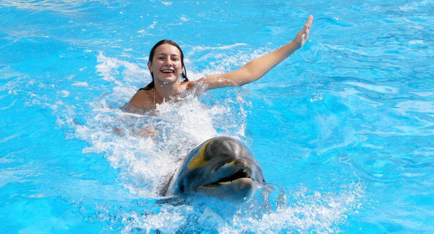 girl swimming with dolphin