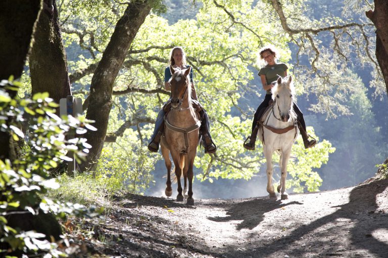 Great Family Horseback Riding Adventures in Orlando