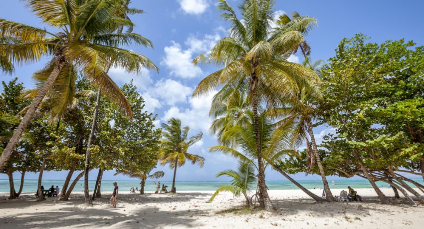 tobago beach